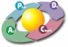 Quản lý chất lượng – Thế giới của các vòng tròn P-D-C-A