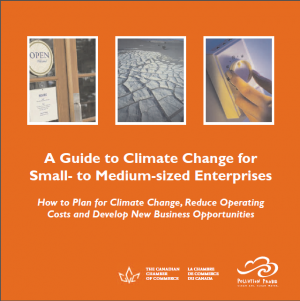 A Guide to Climate Change for Small to Medium Sized Enterprises